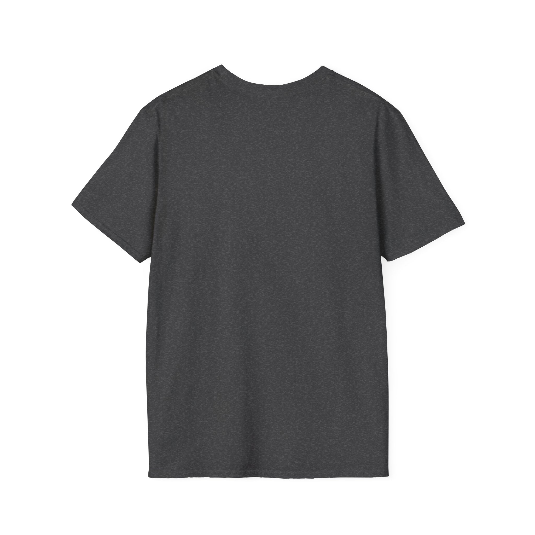 Technically Correct Dad T-Shirt